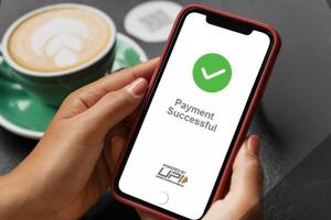 Digital payments make up 99.8 pc of all transactions in H1 2025: RBI