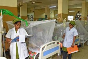 Dengue claims six more lives in Bangladesh, 2025 death toll rises to 349