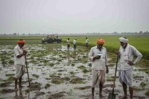 Haryana Releases ₹116 Crore Relief to Over 53,000 Farmers Hit by Kharif 2025 Crop Damage