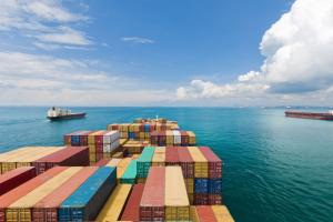 India’s export policy sends positive signal to trading partners in Southeast Asia: Report