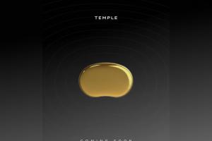 Deepinder Goyal unveils teaser of ‘Temple’, a brain-flow device