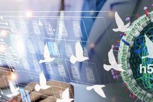 Indian researchers tap AI model to show how H5N1 can jump to humans