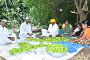 Indi Lime export to Oman showcases early gains of CEPA: Govt