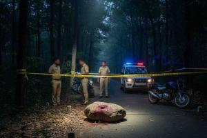 Teen Aviation Student Murdered in Kerala; Boyfriend Confesses After Night of Alcohol-Fuelled Rage