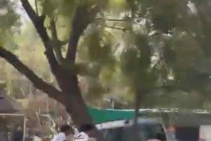 Armed Assault Inside Rohtak University Campus Raises Fresh Alarms Over Law and Order in Haryana