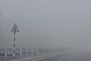 Dense Fog Blankets Jaisalmer, Disrupting Daily Life and Slowing Traffic
