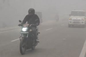 Dense Fog Engulfs Chitrakoot, Disrupting Daily Life and Raising Road Safety Concerns