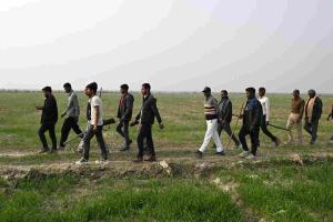 Fear After Sundown: Wolf Attacks Claim 11 Lives, Mostly Children, in Uttar Pradesh’s Bahraich