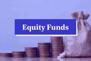 MF equity investments double in November to Rs 43,465 crore