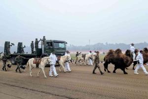 Indian Army’s Remount and Veterinary Corps to Make Historic Republic Day Debut with Animal Contingent