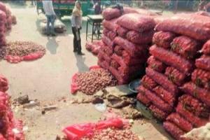 Onion Farmers Dump Produce on Roads in Madhya Pradesh as Prices Crash to ₹1 per Kilo