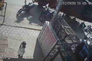 Overloaded Speeding Truck Overturns on Hyderabad–Bijapur Highway, Child Escapes Unharmed