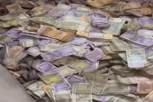 Pune Police Crack Down on Illegal Liquor Racket in Kondhwa, Seize Over ₹1 Crore and Arrest Three