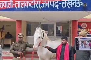 Stolen Iranian-Breed Horse Recovered in Uttar Pradesh, Suspect Arrested After Inter-District Operation