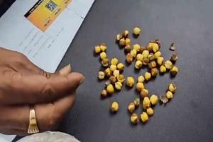 Toxic Dye Used to Color Roasted Chickpeas: Police Seize 30 Tonnes in Gorakhpur