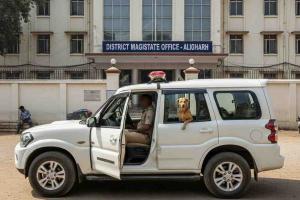 Viral Video of Dog Riding in District Magistrate’s Official Vehicle Triggers Administrative Review in Aligarh