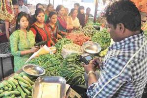 Chandigarh Market Update: Local Produce Prices Stabilize Amidst Fluctuating Supply Chains
