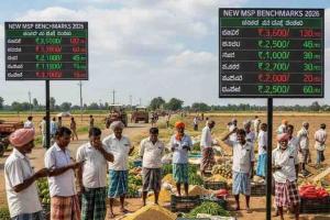 Karnataka Farm Gates See Mixed Returns as Market Prices Jostle with New MSP Benchmarks