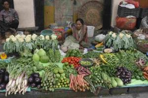 Market Pulse: Odisha’s Agricultural Trade Sees Steady MSP Adherence Amid Fluctuating Vegetable Influx