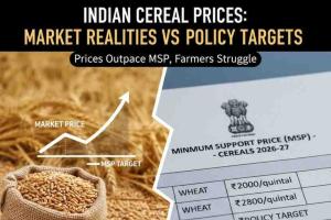 Market Realities Diverge from Policy as Indian Cereal Prices Outpace MSP Targets