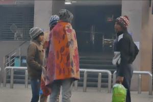 Severe Cold Wave Grips Madhya Pradesh: IMD Issues Yellow Alert as Visibility Drops to Zero