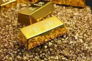 Delhi Gold Market Sees Marginal Retreat as Prices Soften Across Purity Grades