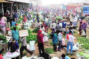 Maharashtra Agri-Markets: Market Prices Outpace Government Support as 2026-27 Marketing Season Begins