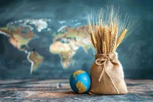 Maharashtra Grain and Oilseed Markets Show Strong Price Resilience Amid Shifting Arrival Volumes