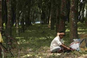 Market Watch: Tripura’s Agricultural Staples See Price Volatility as Arrival Volumes Shift