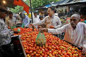 Price Volatility Hits Chandigarh Markets as Tomato and Onion Rates Surge Amid Steady Arrivals