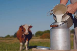 Crisis of Confidence: Fatal Milk Poisoning and Spice Contamination Spark National Outcry Over Food Safety