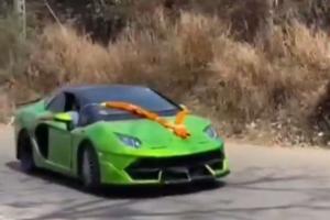 From Humble Hatchback to Exotic Icon: Jharkhand Mechanic’s Two-Year Journey to Build a ‘Desi Lamborghini’