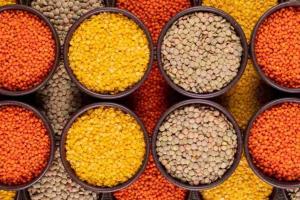 Lentil Prices Skyrocket in Assam as Regional Markets Outpace National Support Benchmarks