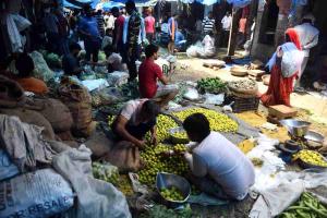 Market Trends Reveal Steep Premium Over Minimum Support Prices in Delhi Mandis