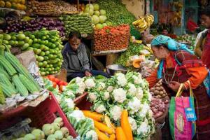 Supply Tightness Triggers Price Volatility Across Himachal Pradesh’s Essential Vegetable Markets
