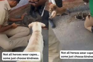 Viral Video Highlights Police Officer Rescuing Puppy, Sparks Widespread Praise Online