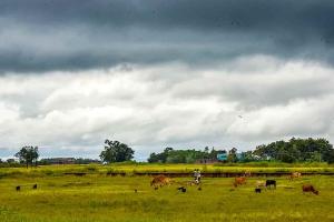 Western Disturbance Disrupts Weather Across Delhi-NCR, Rain, Hailstorms, and Poor Air Quality Raise Concerns Until April 8