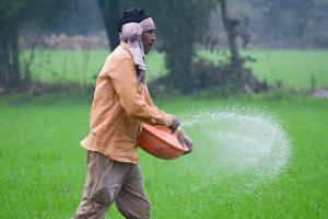 Middle East Conflict Threatens India’s Urea Supply Amid Rising Fertiliser Imbalance Crisis