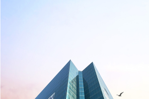 Anthurium Emerges as a Leading Mixed-Use Commercial Landmark in Central Noida, Redefining Business and Lifestyle Integration