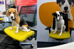 Mars Pet Nutrition India Reinforces Pet-Friendly Workplace Culture Through Bring Your Pet to Work Day Celebration