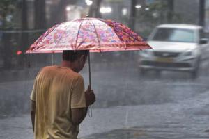 Strong El Niño Event Set to Disrupt Global Weather Patterns, WMO Warns of Widespread Climate Impact
