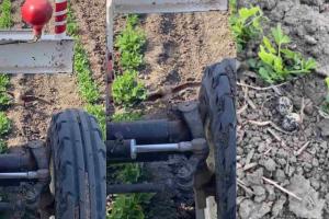 Mother Bird Stands Fearlessly Before Tractor to Protect Eggs, Emotional Video Captivates Millions Worldwide