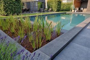 EcoScapes and Fluidra India Join Forces to Redefine Sustainable Luxury Pool Design