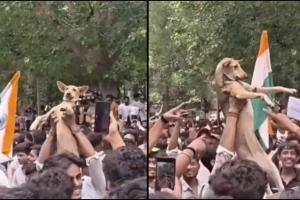 CJP Protest Video Goes Viral as Student Carries Puppy Into Crowd, Sparking Mixed Reactions