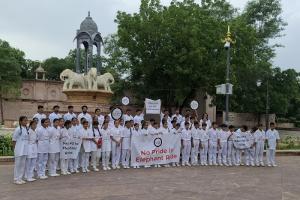 World Animal Protection Appeals to Chief Minister of Rajasthan to End Elephant Rides on Occasion of World Elephant Day