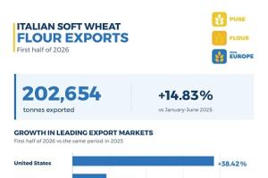 Italian Soft Wheat Flour Exports Surge 14.83% in H1 2026, Led by US Demand