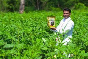 Vardaan Offers Farmers an Organic Approach to Phosphate Nutrition Ahead of Rabi Season