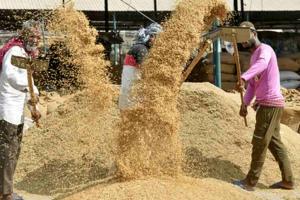 Chhattisgarh Steps Up Paddy Procurement Preparations for Kharif Marketing Year 2026-27