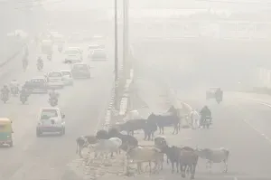 Delhi's visibility drops below 200 meters amid severe pollution, GRAP 3 restrictions likely soon