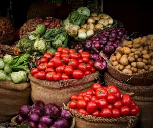 CPI inflation to average 2.5 pc in FY26, GST cuts to support core inflation: Report